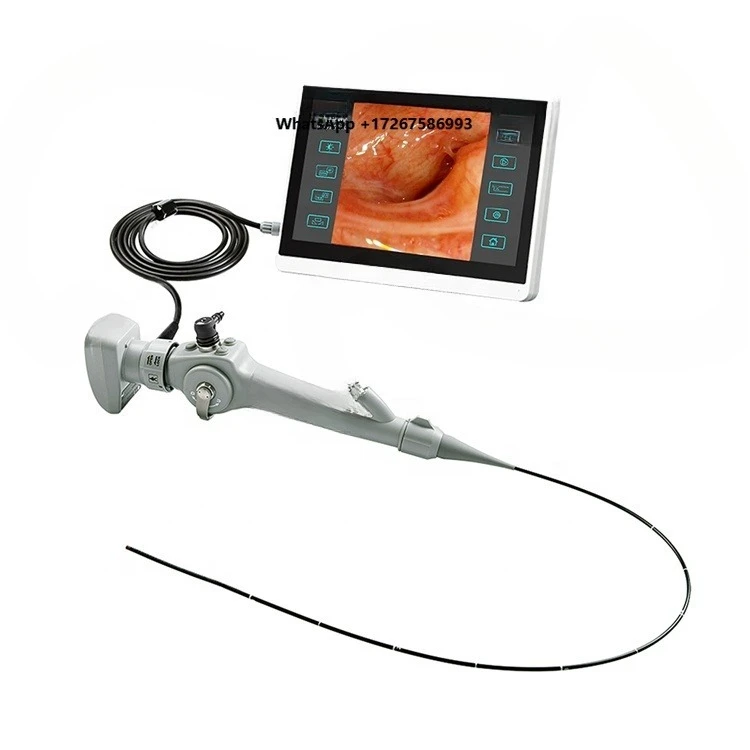 Ultra-thin 2.8mm Pet Endoscope System Medical Equipment Veterinary Portable Led Light Source Video Endoscope