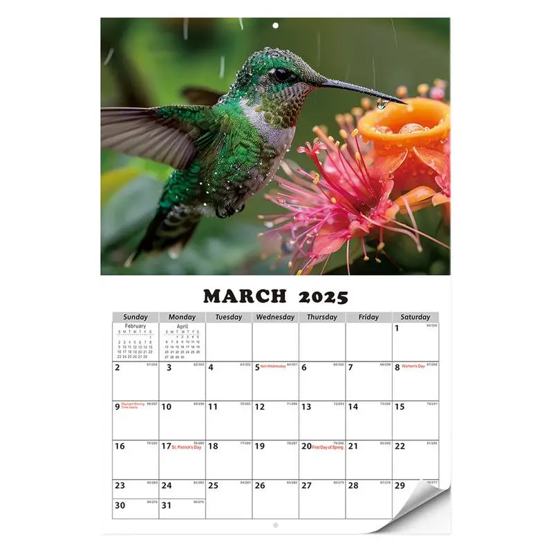 Calendrier mural imprimé colibri, décoration pour zone de travail, salon, 12 mois, 2025