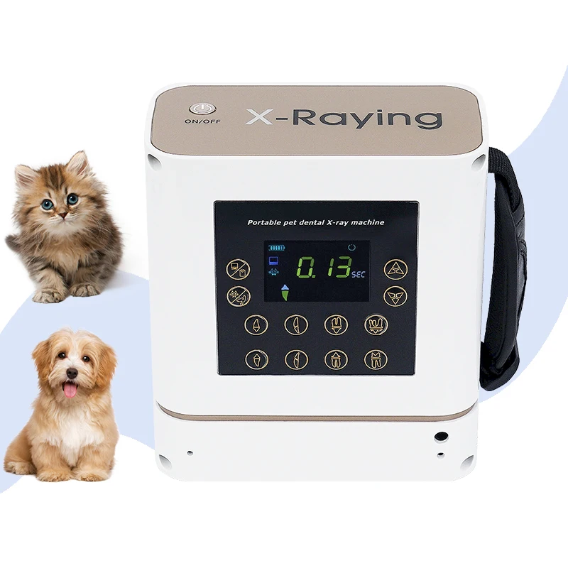 Portable Pet Dental Digital X Ray Machine High Frequency Medical Equipment Veterinary X-ray Unit Radiograph System