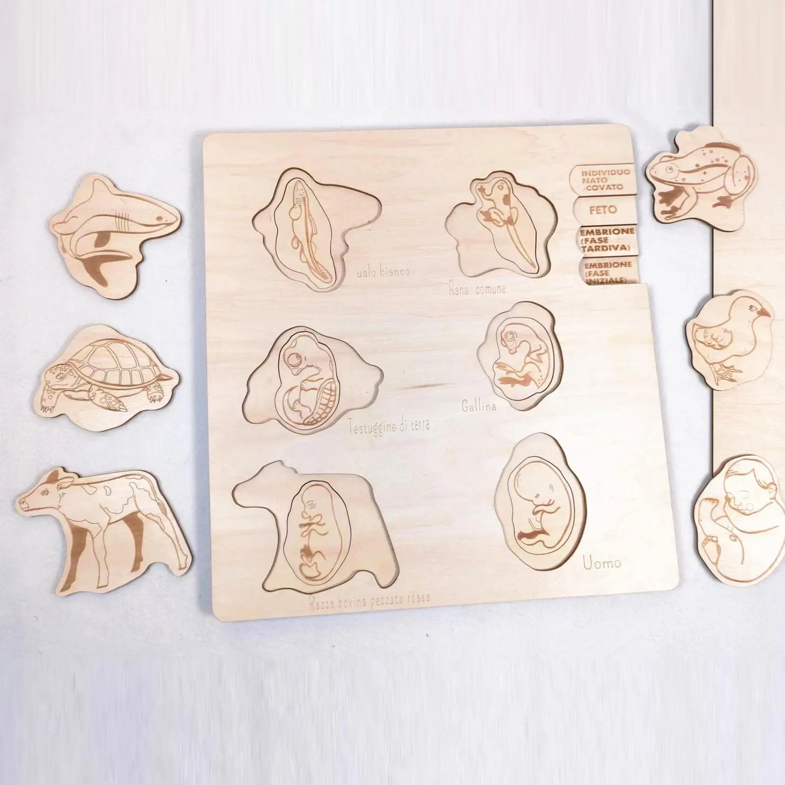giochi-puzzle-in-legno-per-bambini-in-eta-prescolare-giocattoli-educativi-per-lo-sviluppo-e-l'apprendimento-precoce-regali-per-le-vacanze