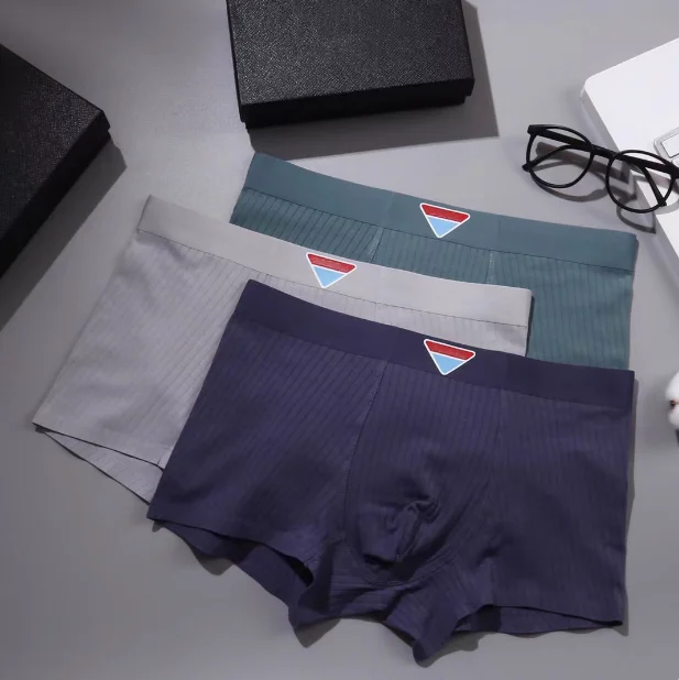 boxers luxury underwear men slip 2025 Three color box High quality Modal shorts antibacterial interior