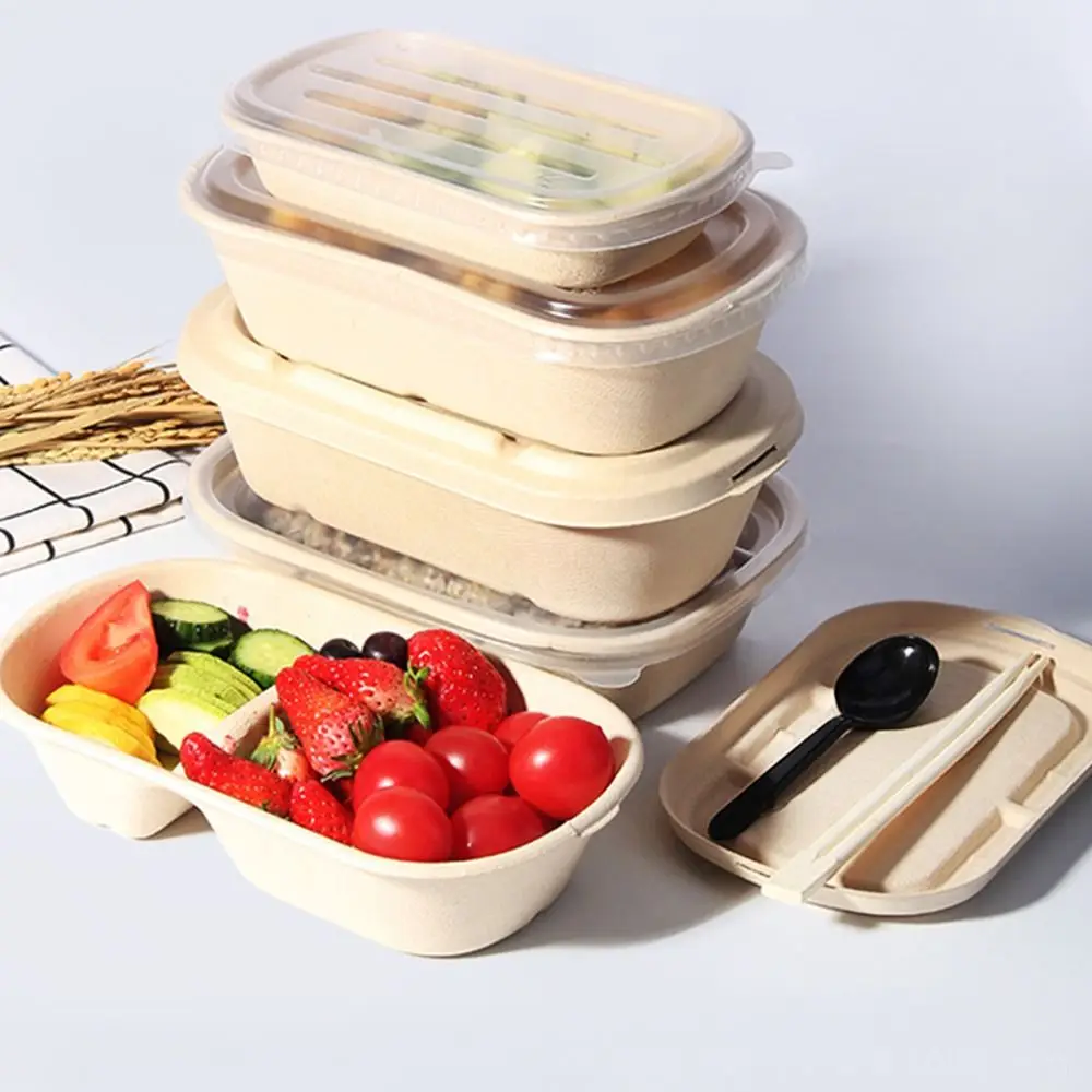 Portable Disposable Packing ECO friendly Light Food Box 500ml/700ml/850ml/1000ml Paper Pulp Lunch Box Divided Lunch Box