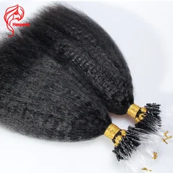 Hesperis Kinky Straight Micro Link Extensions Hair Human Hair 100 Strands Micro Loop For Black Women Micro Ring Loop