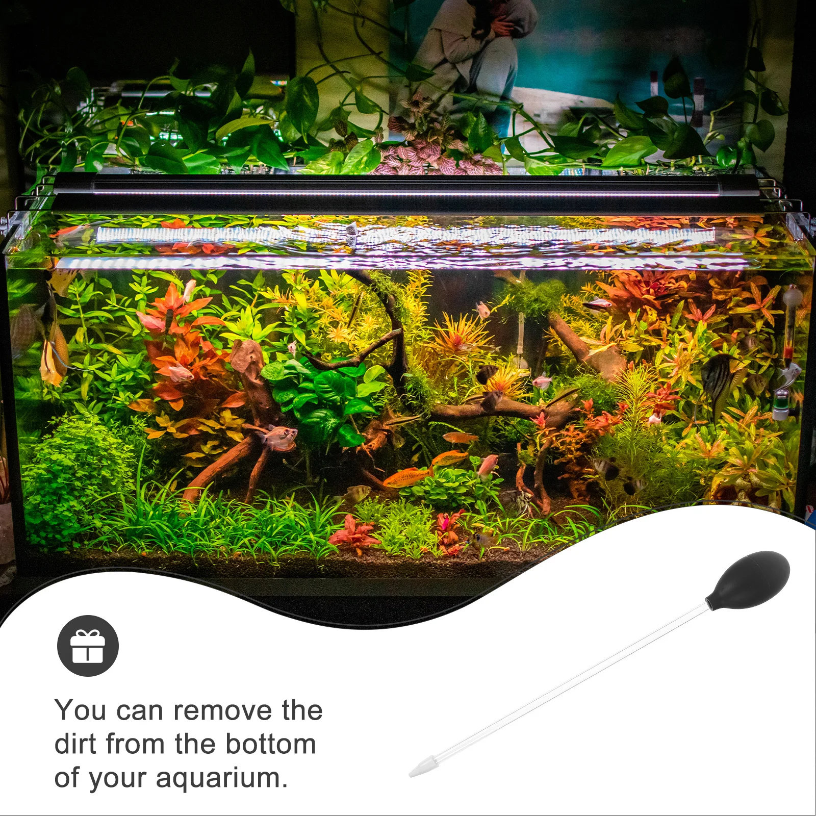 

Coral Feeder 35Cm Long Transparent Acrylic Aquarium Tool Fish Tank Water Changer Cleaner Suction Dirt Removal Multi-Functional