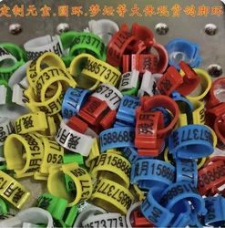 Personalized 100PCS 12MM Plastic Bird Bands Rings, Foot Round Tag Clips, Custom Laser Engraved