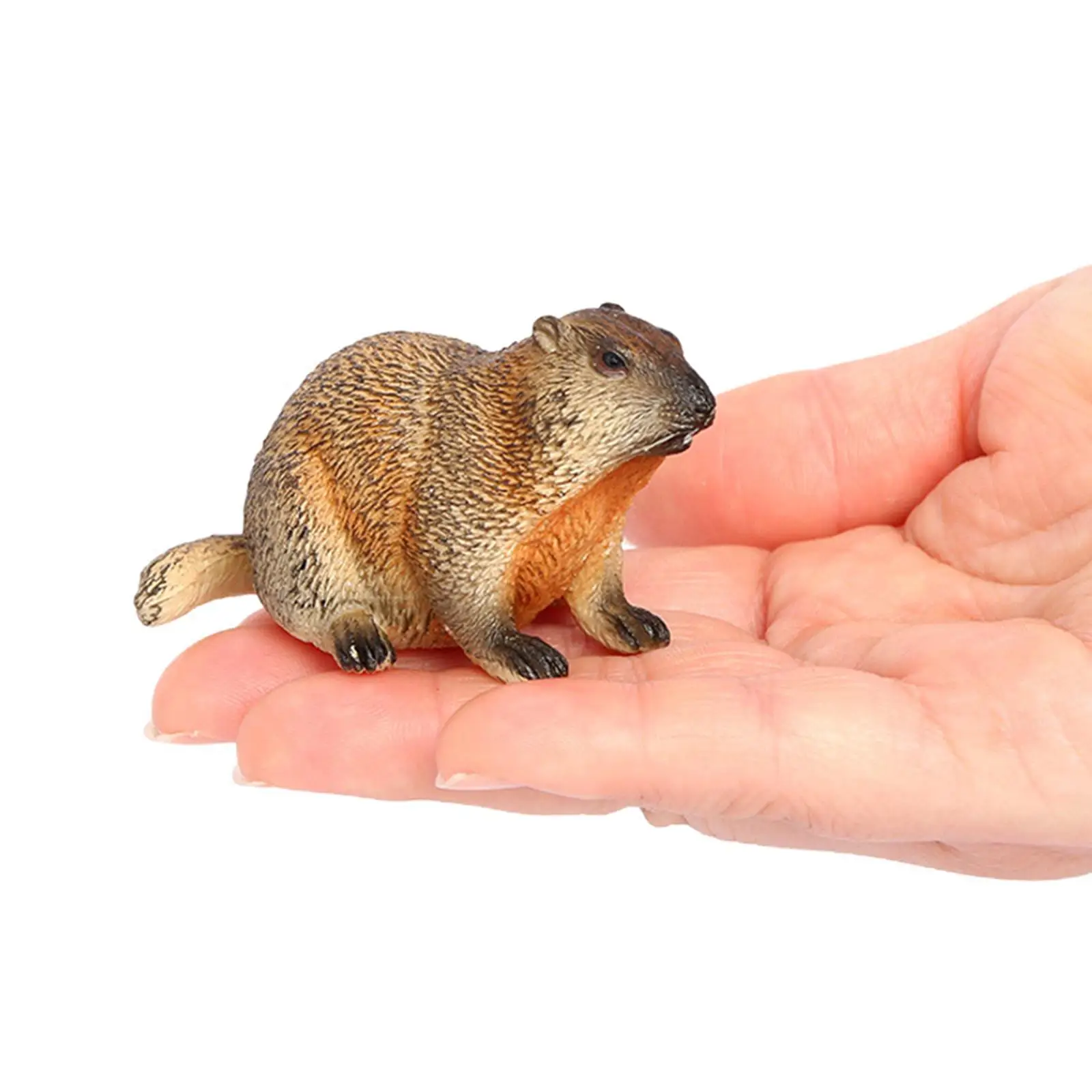 محاكاة نماذج للحيوانات عدة الكبار الأطفال PVC الحيوان تمثال كونترتوب زخرفة لحديقة ساحة هووسورمينغ