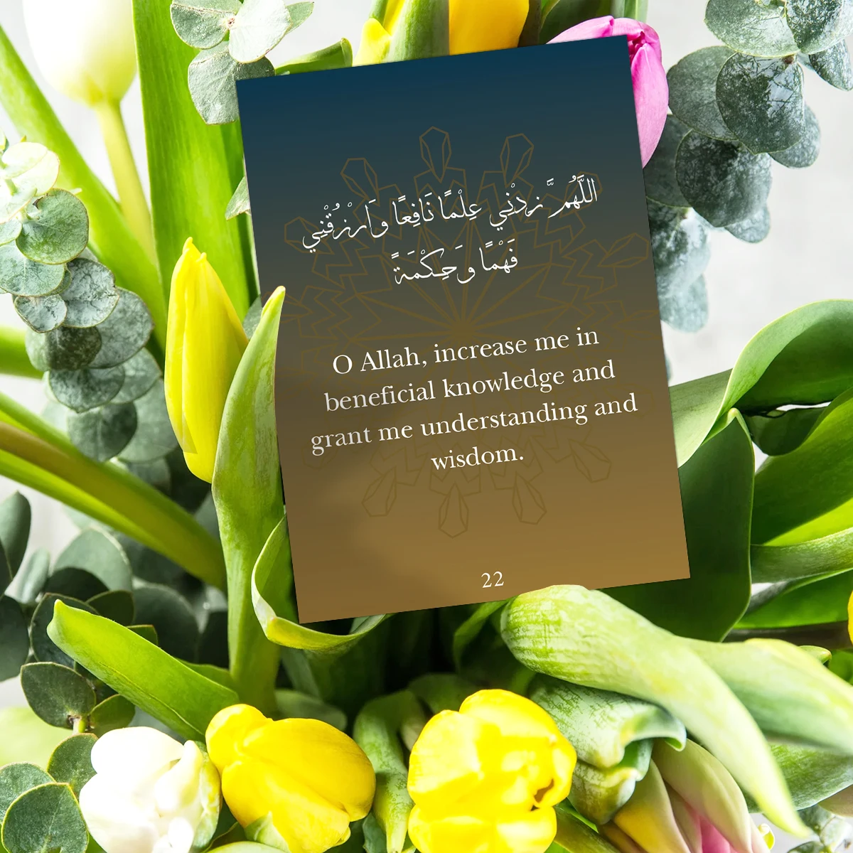 31pcs Arabic & English Ramadan Islamic Prayer Dua Cards For Daily Devotion,Blessing Cards For Family&Community,Holy Month Gifts view 3