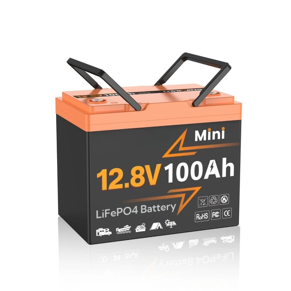 

12V 100Ah LiFePO4 Lithium Battery, BCI Group 24, Built-in 100A BMS with Low-Temp Protection, Max.1280Wh Energy,, Customized