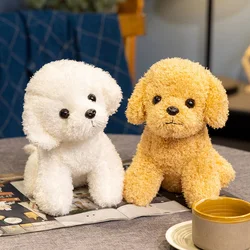 19/24CM Simulated Curly Teddy Dog Plush Toys Soft Stuffed Animal Lovely Puppy Dog Doll Accompany Gifts