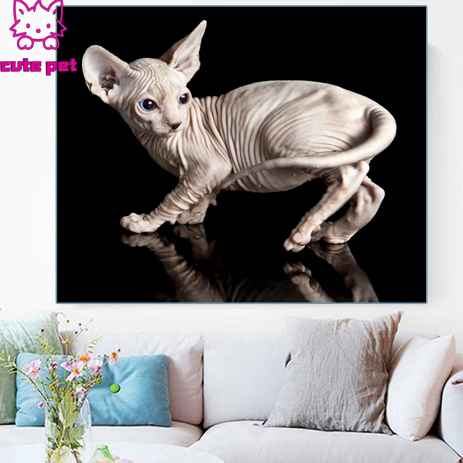 5D Diamond Animal hairless cat full Round square Diamond Painting Mosaic DIY Cross Stitch Kit Diamonds Embroidery Painting