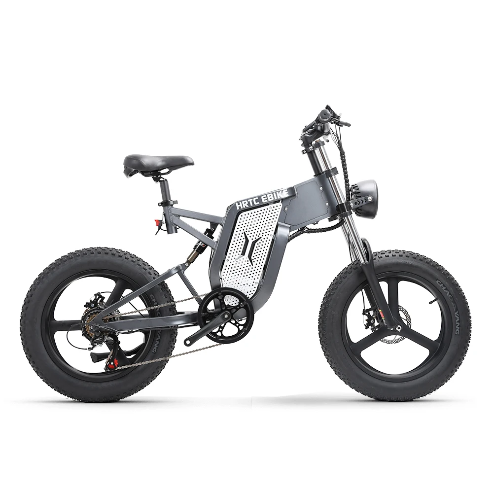 20 inch mountain electric bike 48v high speed motor 25ah Stealth lithium battery long life scooter fat snow tire electric ebike