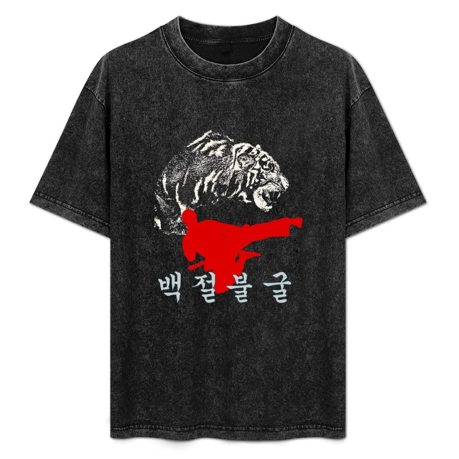 

TKD T shirt - Indomitable Spirit 2 T-Shirt Fashion Graphic Tee for Men