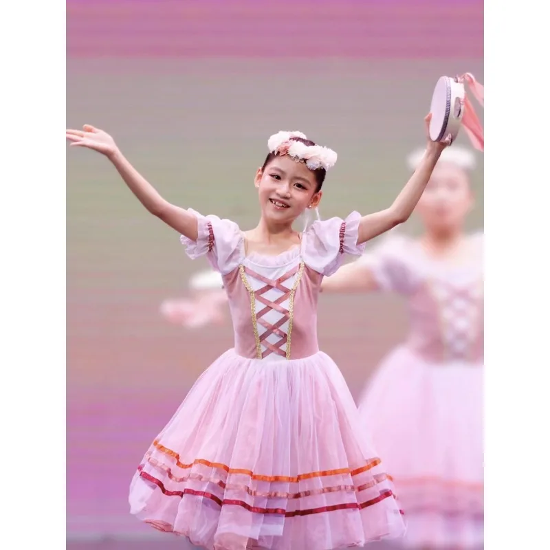 

New tutu girls New Year's Day dance costume children's tutu little swan performance costume