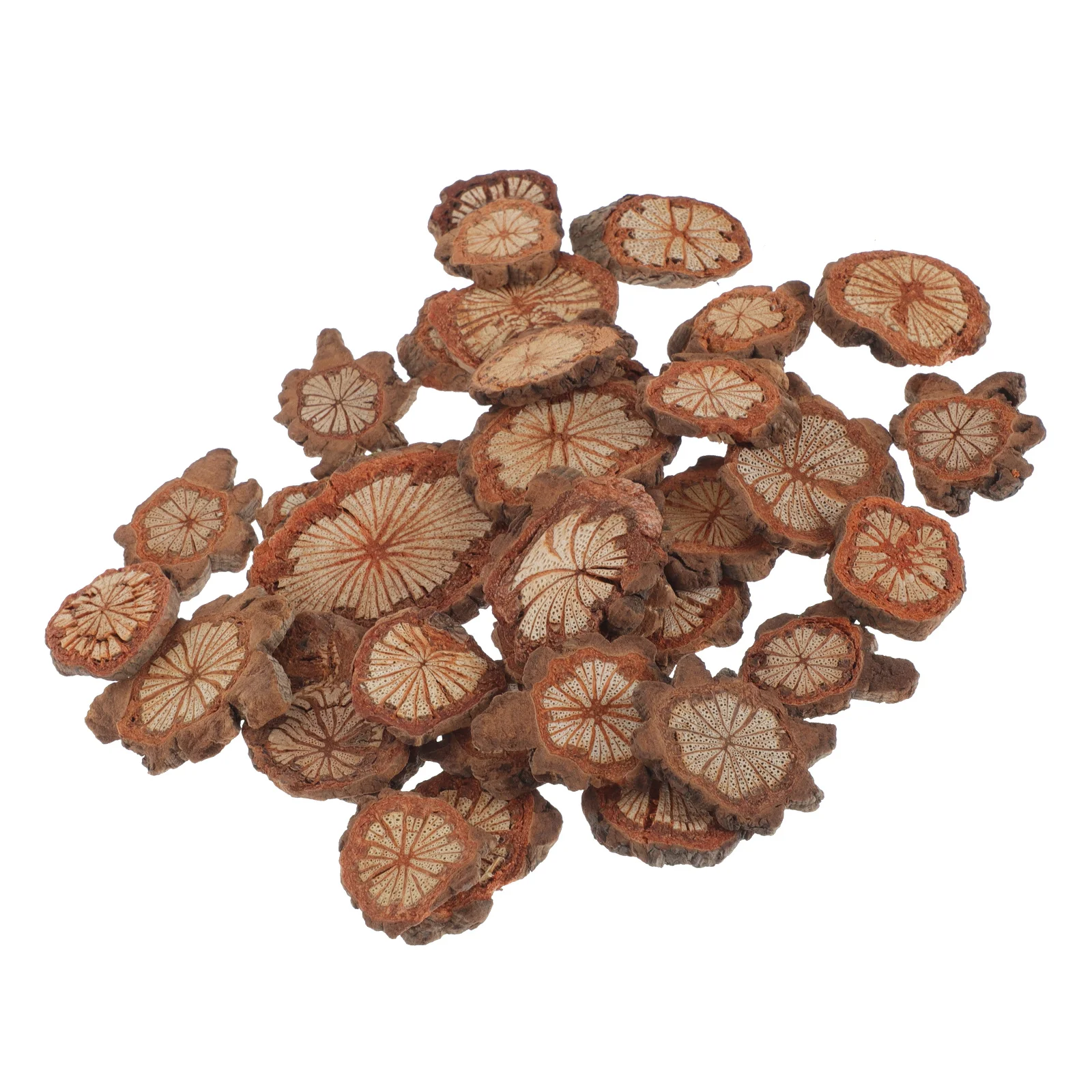 

1Pack Natural Wood Slices DIY Craft Chip Wreath Home Decor Table Ornament Wooden Craft Supplies Kids Activity