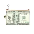 Old USD-100
