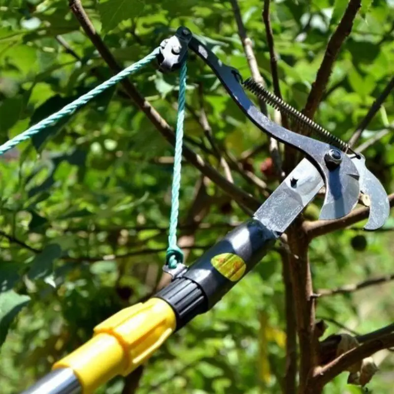 

Черные металлические секаторы для высоких веток, ножницы для сбора фруктов, садовые и фермерские секаторы, ручной инструмент для обрезки