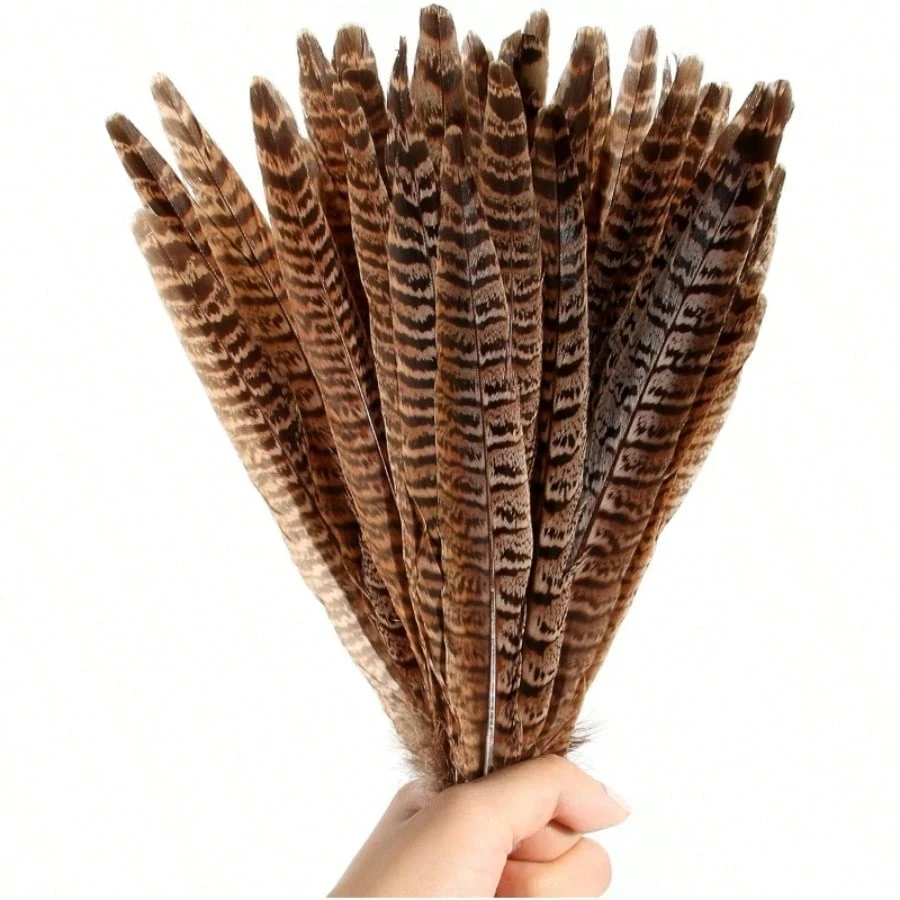 10-35cm 천연 꿩 꼬리 깃털 수컷 암컷 아름다운 깃털 DIY 머리 장식 보석 축제 장식 공예용