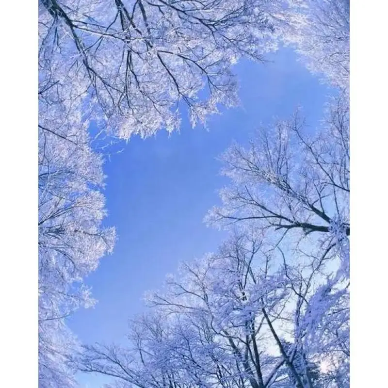 Silicone Case Sleev…