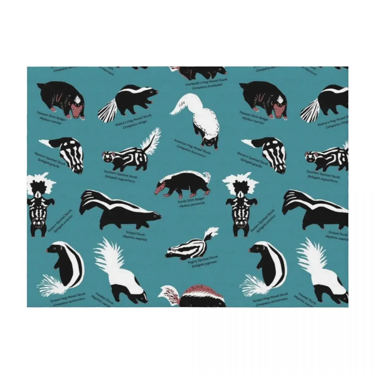 

Skunks of the World: Species of Family Mephitidae Throw Blanket Beautifuls Flannel Fabric Flannels Luxury Brand Blankets