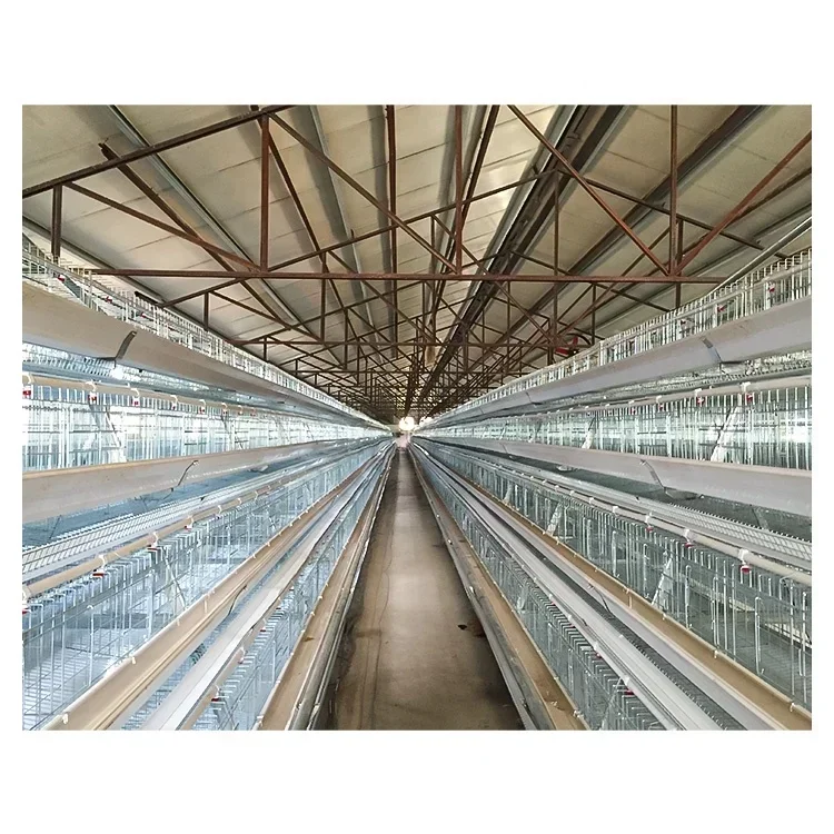 

Hot sale aluminum alloy 90 / 120 birds 3 / 4 layers poultry chicken feeding cages system chicken layer cage