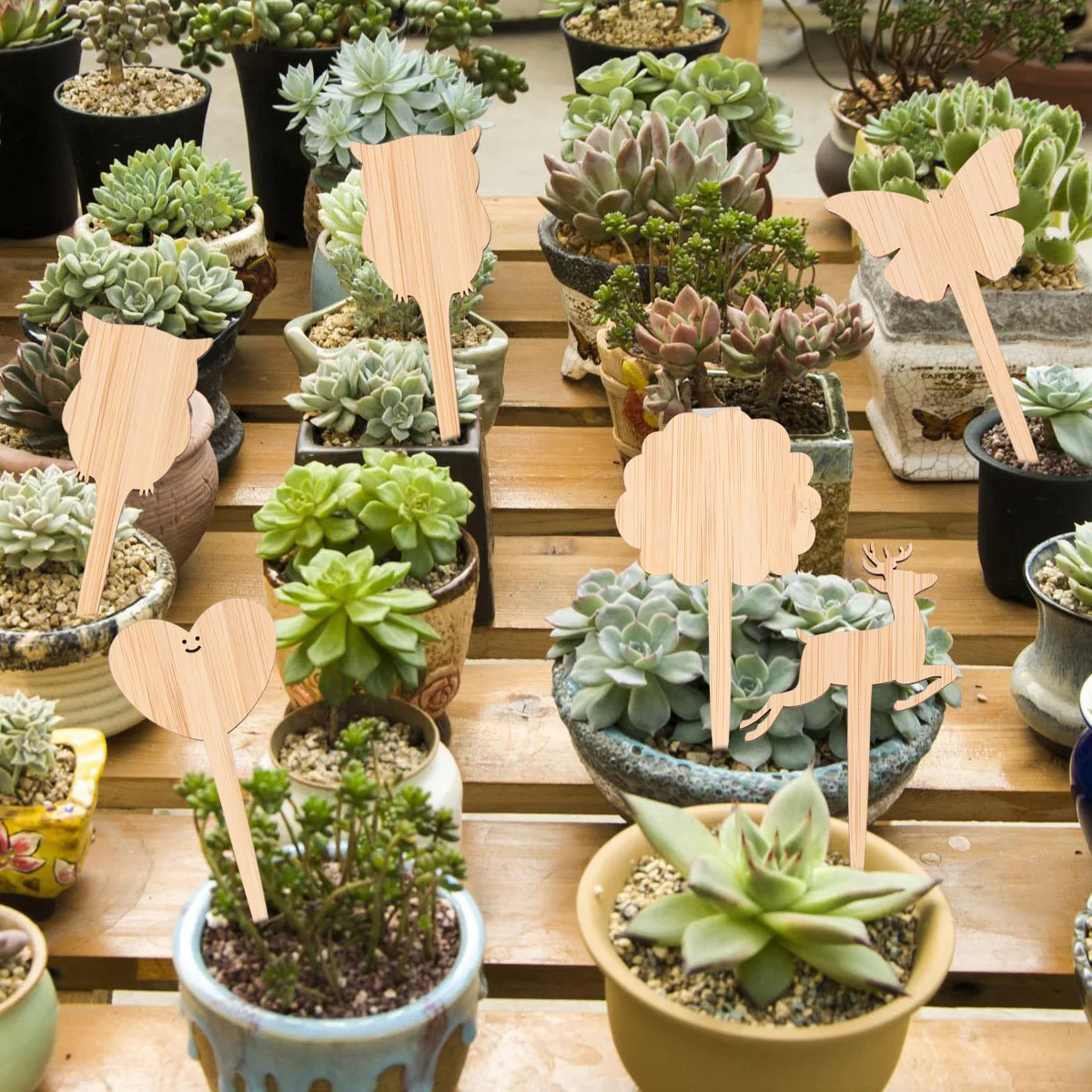 

Bamboo Plant Labels Modern Sturdy Durable Marker Poles for Garden Nursery Flower Seedlings Plant Label Labeling