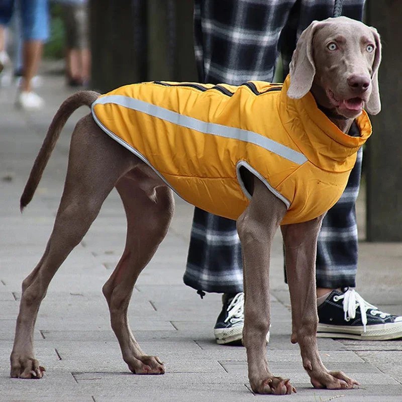 Abrigo Reflectante para Perro, Chaqueta Impermeable para Invierno, Ropa para Perros Grandes, Pitbull, Greyhound, Ropa para Perros de Raza Pitbull y Greyhound