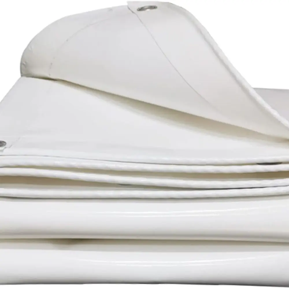 

Heavy-Duty Waterproof Tarp with Metal Grommets, Suitable for Roofing, Camping, Outdoors, Patios, and Shelters (3x4m White)