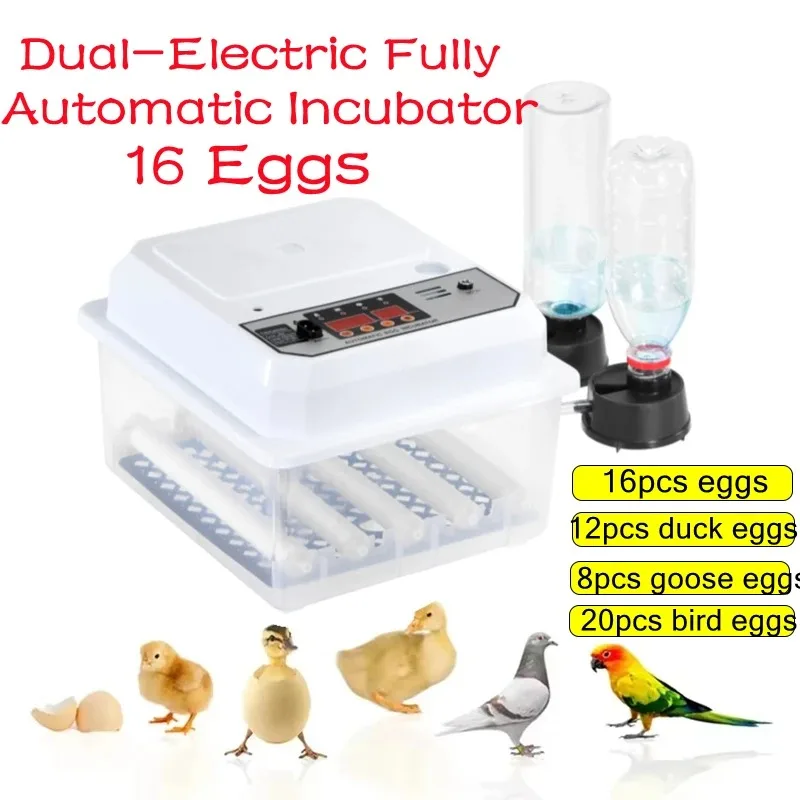 

16 Eggs Incubator With Drawer Type Mini Egg Incubator With Automatic Water Ionic Waterbed Replenishment And Temperature Control