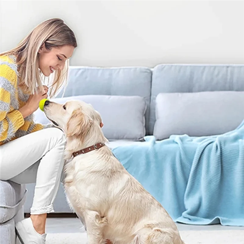 

AA86 забавная интерактивная машина, забавная интерактивная катапульта, перезаряжаемая пусковая установка для теннисных мячей для собак, автоматические игрушки для погони собак