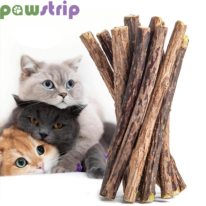 

10Pcs Catnip Sticks Pet Cat Molar Toys Natural Wood Polygonum Kitten Teeth Cleaning Chew Toy Cat Snacks Sticks Pet Supplies