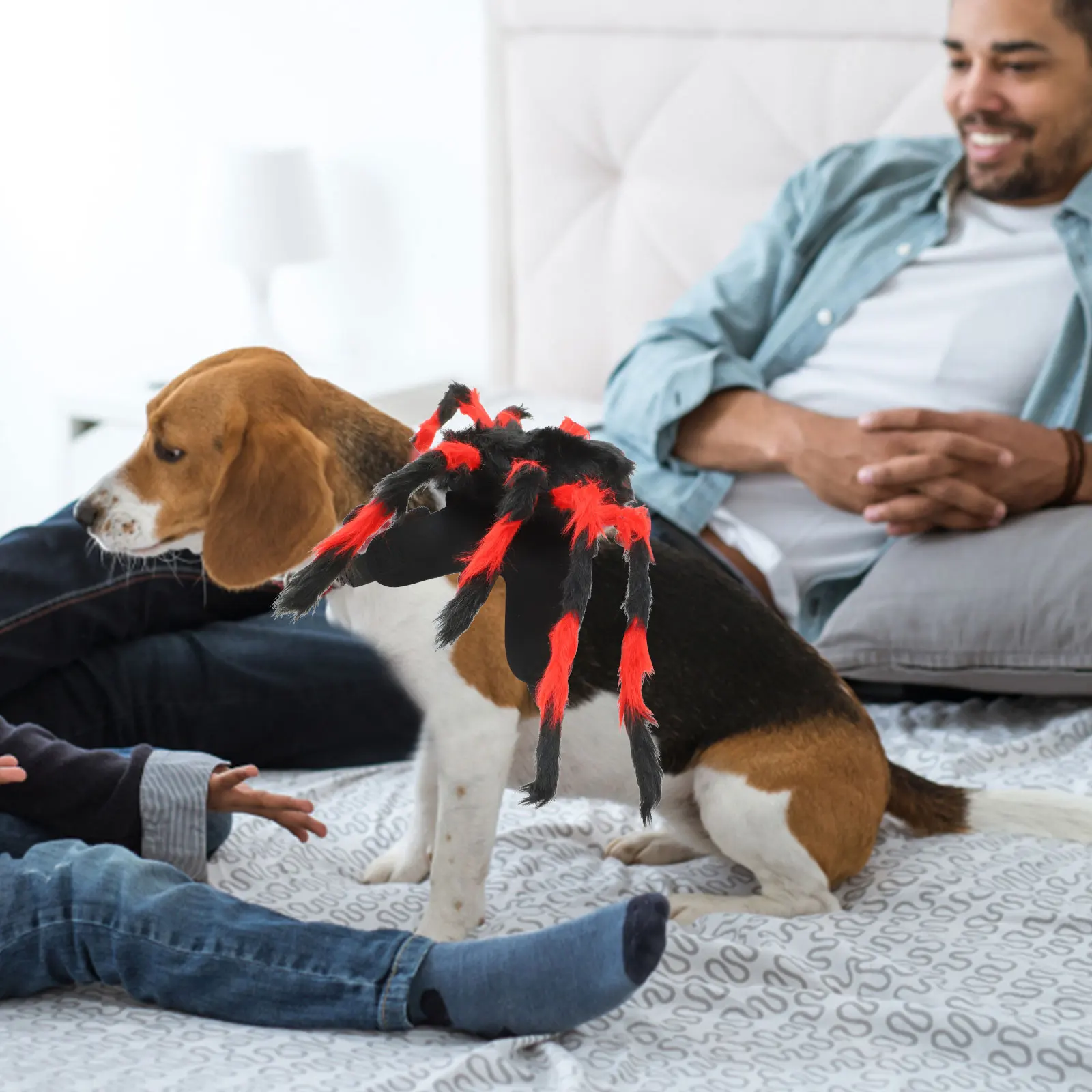 

Pet Spider Costume For Cats Small To Medium Dogs, Funny Halloween Cat Dog Costume, Spider Party Outfit, Pet Dressing