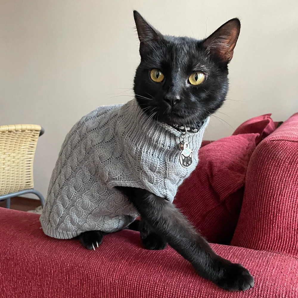 10 Pcs Warm Knitted Cat Sweater Winter Pet Clothes for Cats Mascotas Clothing Katten Kedi Kitten Puppy Pullovers Ropa Para Gatos
