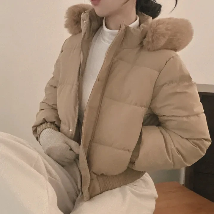 New Winter Warm Hooded Down Cotton Jacket Women Thickened Fleece Lining Big Fur Collar Long Sleeve Short Parkas Jacket Coat