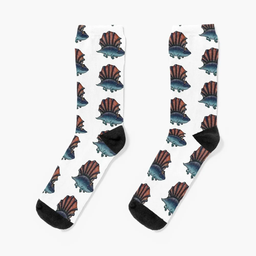 

Platyhystrix Socks Socks For Men Men'S Winter Socks