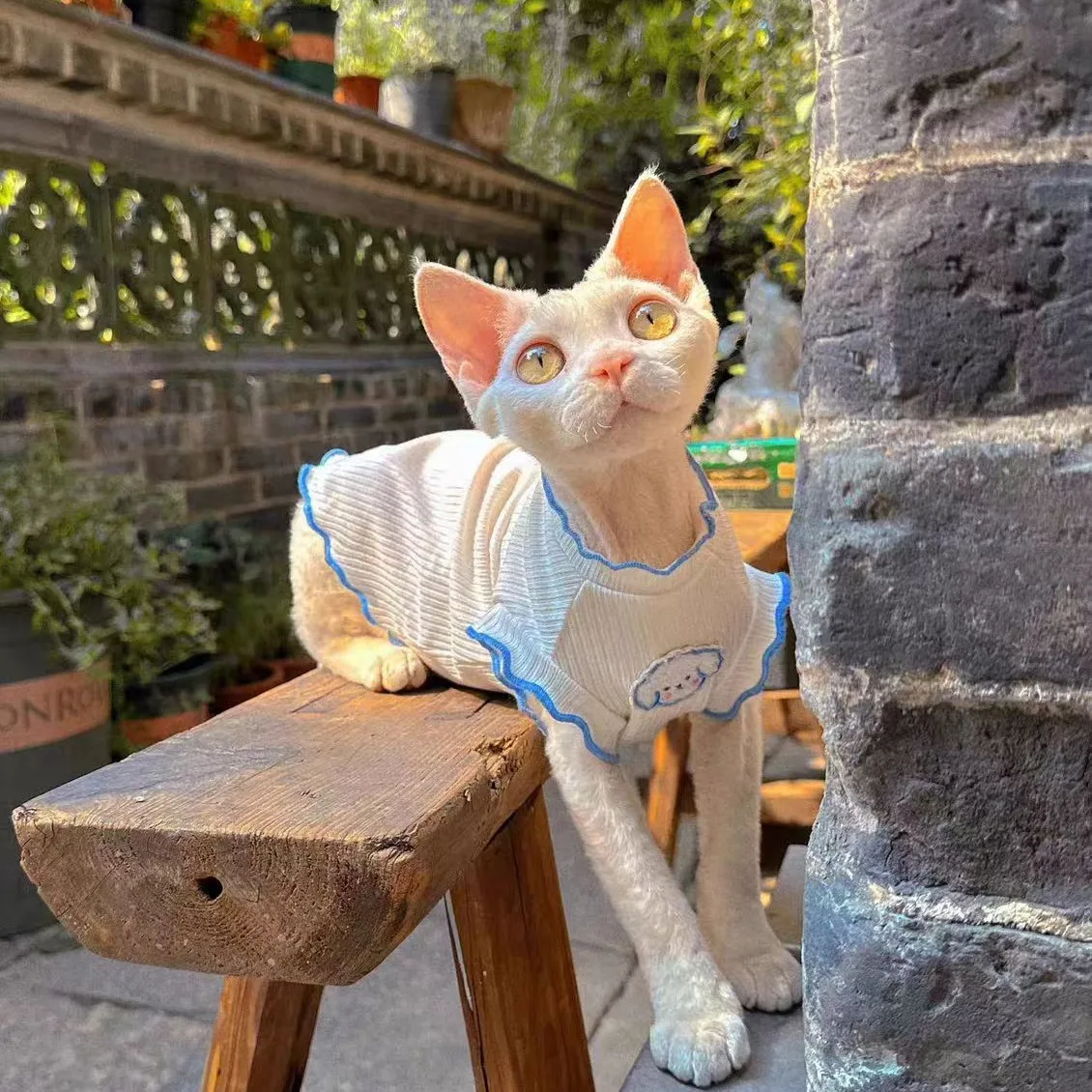 Summer sleeveless cat clothes, air-conditioning-friendly, anti-shedding, Devon Sphynx and similar cat vests, pet clothing