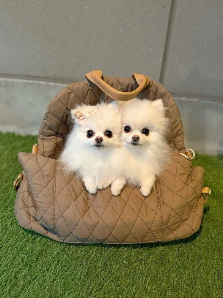 Pet kennel nylon waterproof pet bag removable handbag car dual-use travel cat kennel dog kennel