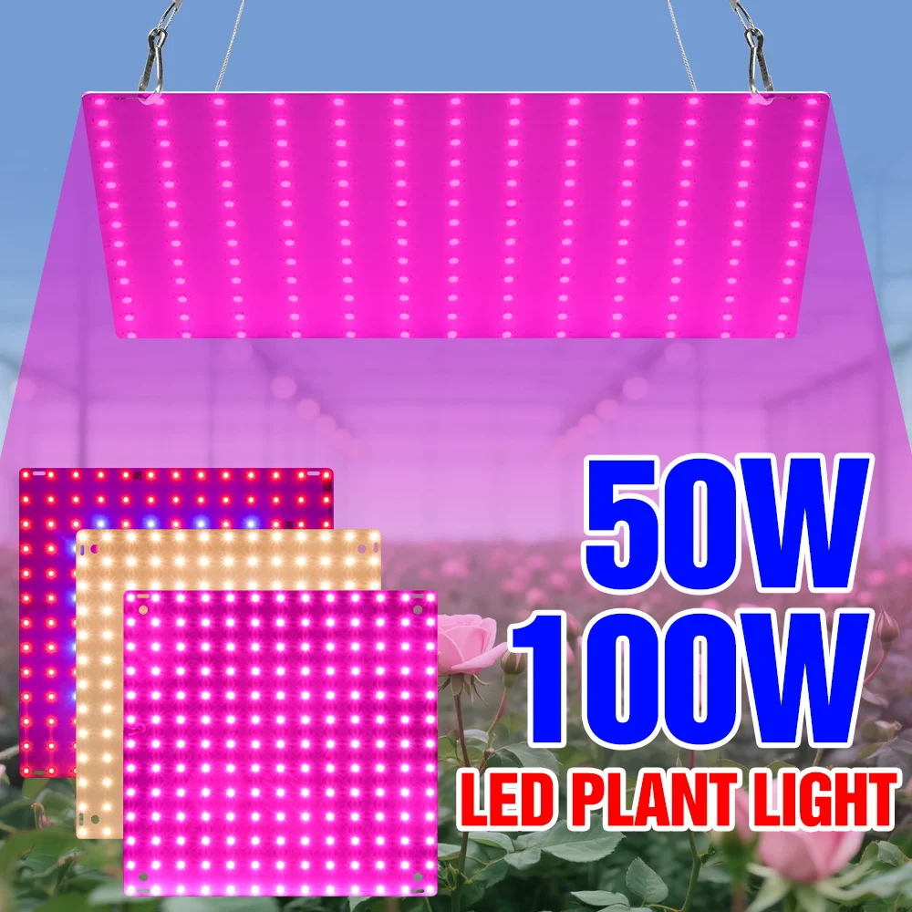 luzes-de-cultivo-de-espectro-completo-led-de-100w-lampada-de-cultivo-quantum-board-para-frutas-vegetais-e-flores-em-ambientes-internos-iluminacao-de-preenchimento-plugue-us-eu