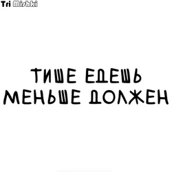 Tri Mishki HZX228 10*43.5cm 14*60cm funny car stickers quietly go less should Vinyl Decals auto Motorcycle Accessories sticker