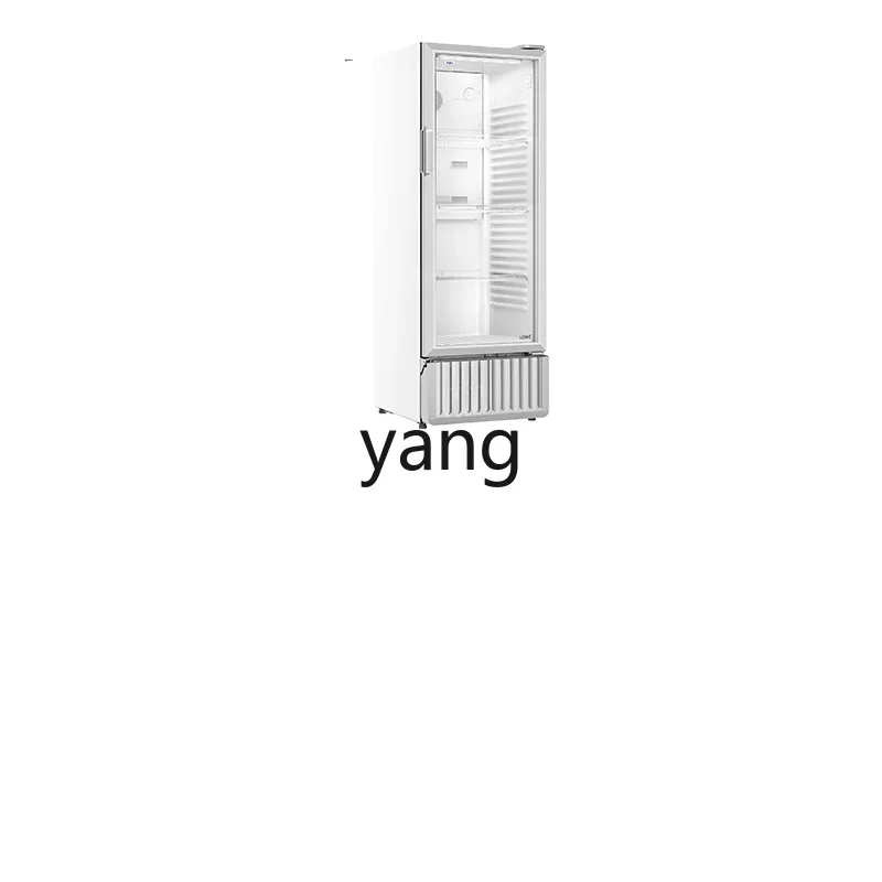 CX Air-Cooled Beverage Showcase Refrigerated Freezer Commercial Freezer