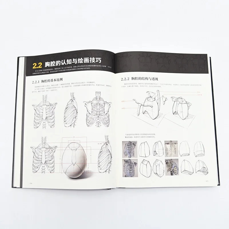 Special Training On Animation Human Body Structure Expression Techniques Book Game Anime Human Body Structure Drawing Tutorial