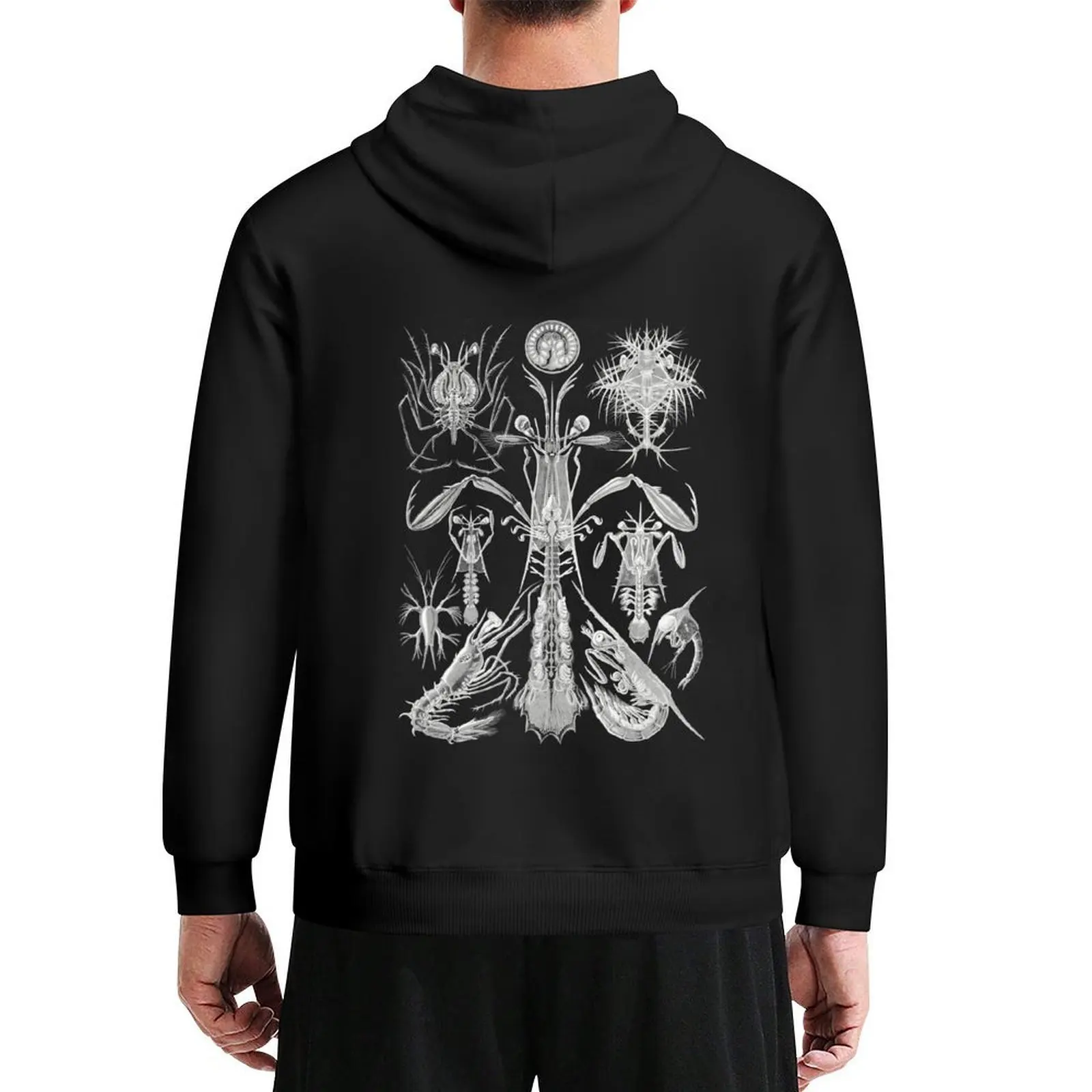 Thoracostraca–Panzerkrebse-from-Kunstformen-der-Natur Hoodie men clothing men's clothes men's coat new in hoodies & sweat-shirt