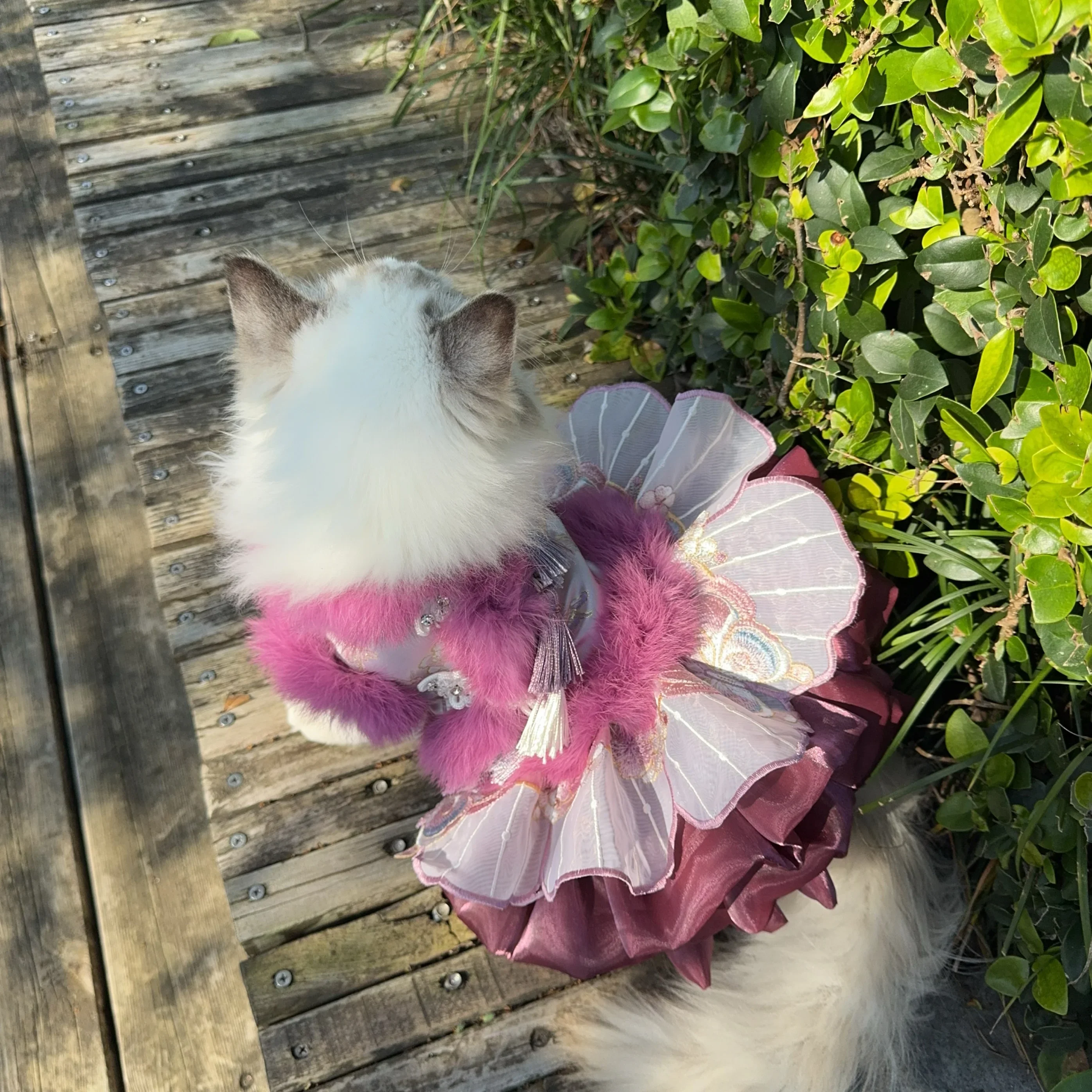 Luxury Handmade Dog Clothing Winter Plush Butterfly Embroidery Chinese Style Dresses For Small medium Dog New Yearl Pet Clothes