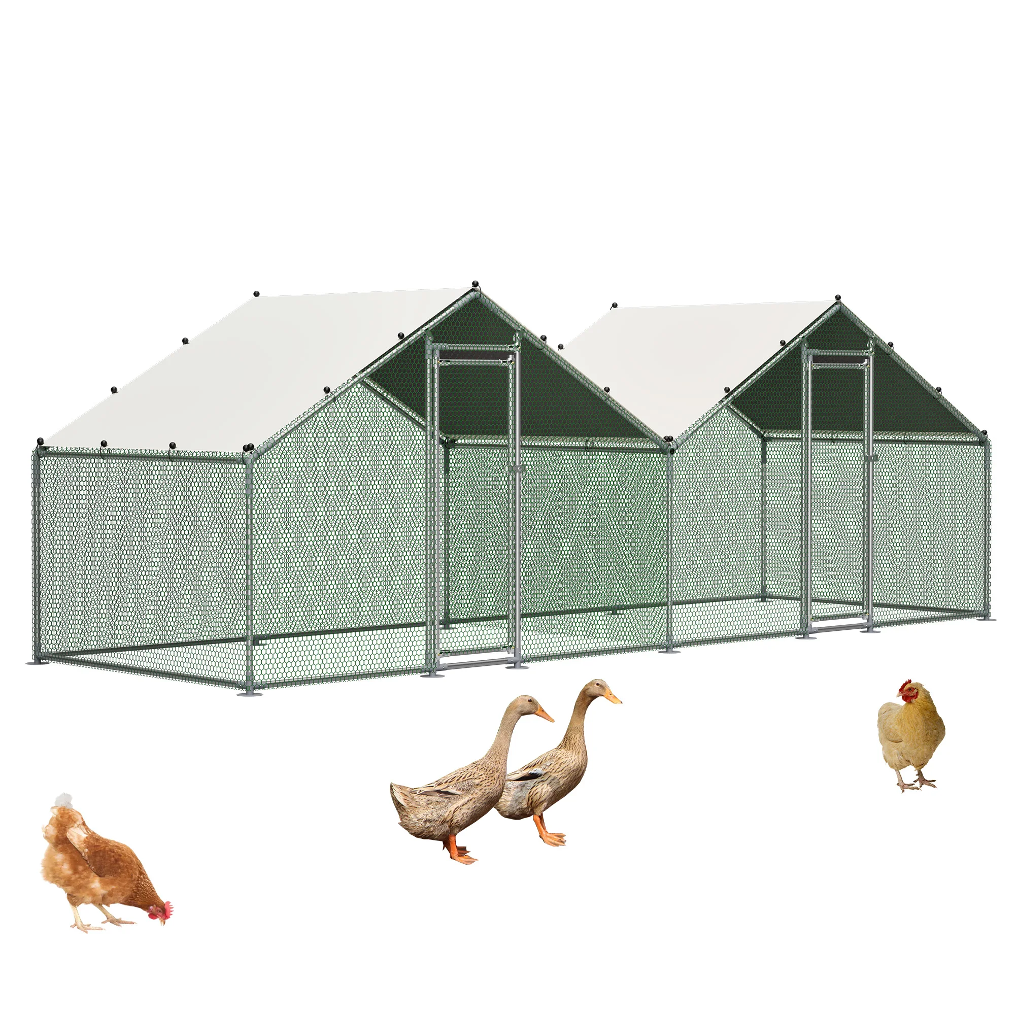 Farming Zone - 6'x20' Walk-in Chicken Coop with Dual-Zone