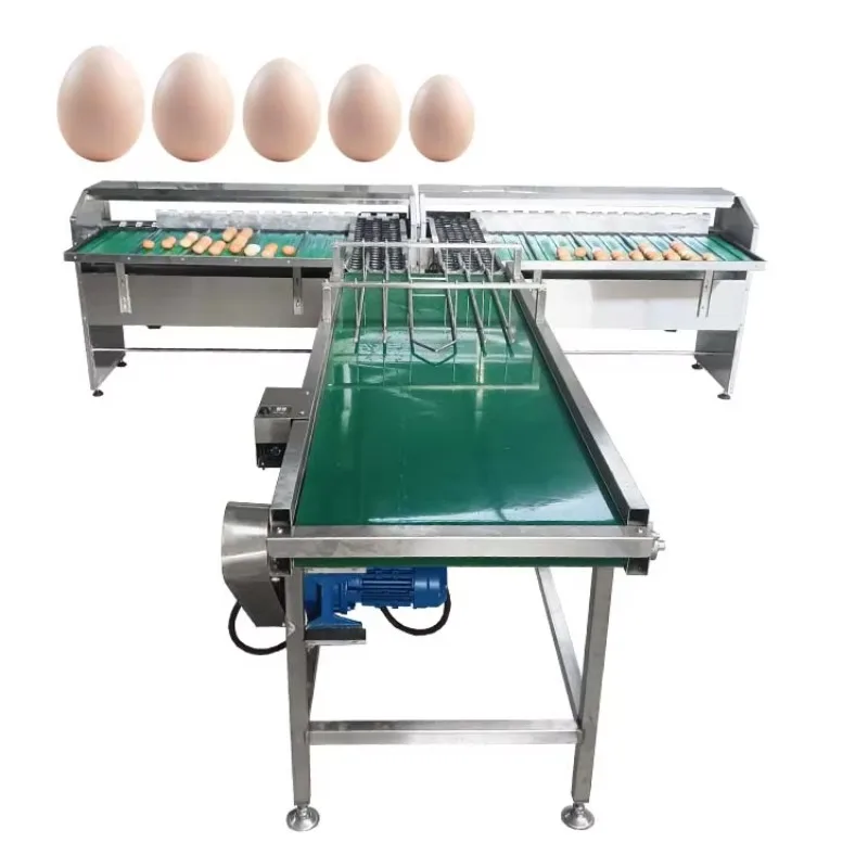FOODLINE Customized Egg Processing Equipment Egg Sorting Machine Weighing Egg Grading Machine with Detecting Surface Defects