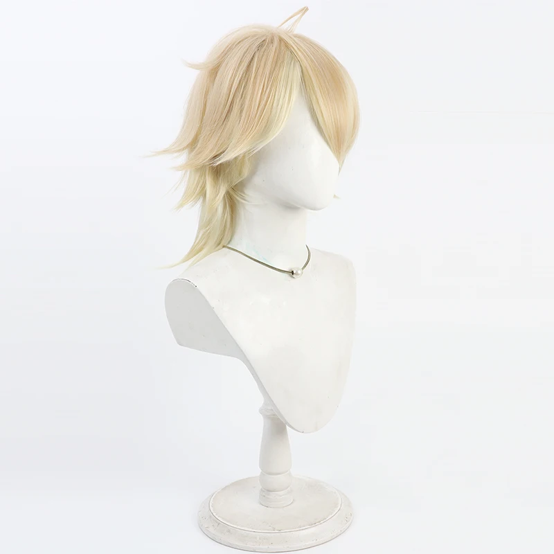 Gioco Touken Ranbu Musou Nansen Ichimonji Cos Parrucca Cosplay Halloween Party Prop Capelli sintetici Fibra resistente al calore + Protezione parrucca