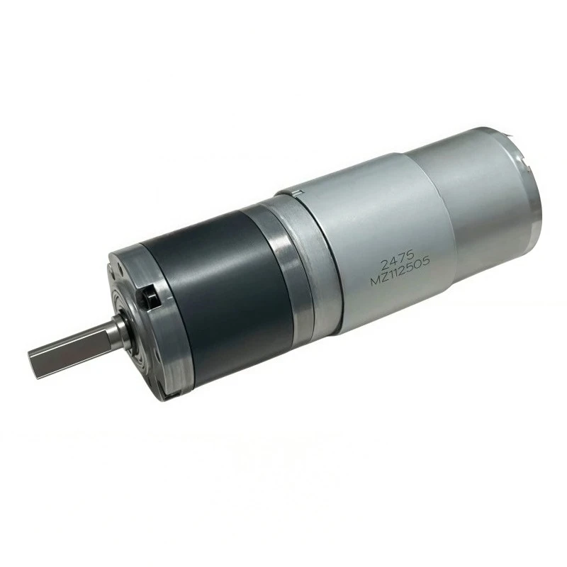 42GM-795 planetary reduction motor, equipped with a speed controller, adjustable power supply, power cord for motor 12V/24V