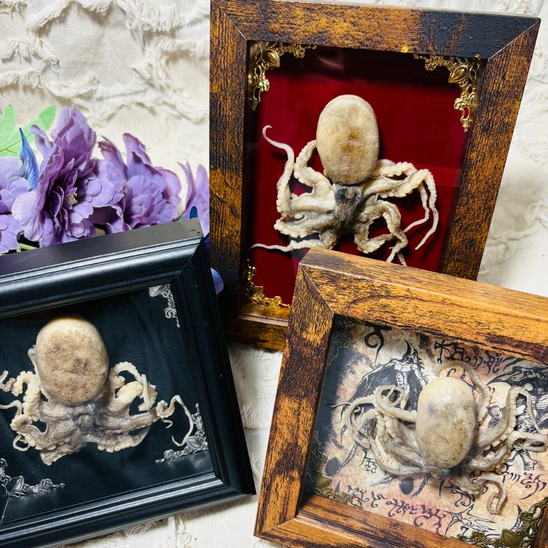 2140 Gothic Cthulhu Octopus Themed Framed Ornament Collection Bulk Wholesale Vintage Wooden Frame Dark Fantasy Desktop Wall Art