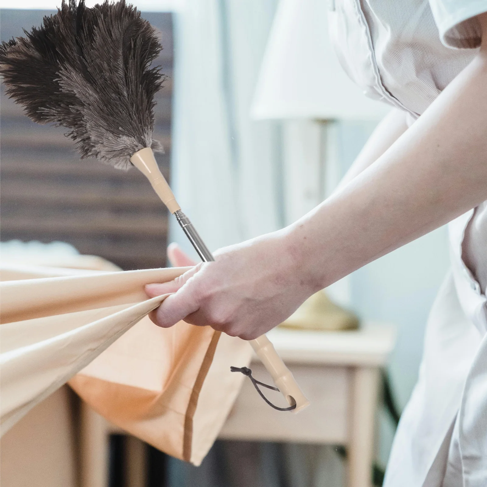 

Ostrich Duster Extendable for Ceiling Fans Blinds Dust Removal Spider Webs Home Duster With Extension Pole Cleaning Kit