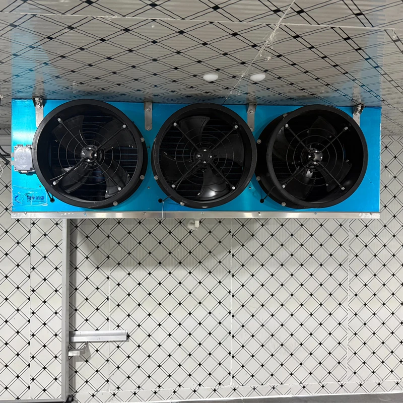 Hot  20ft 40ft Cold Storage Cold Room Freezing Cooling Room Walk in Freezer Room
