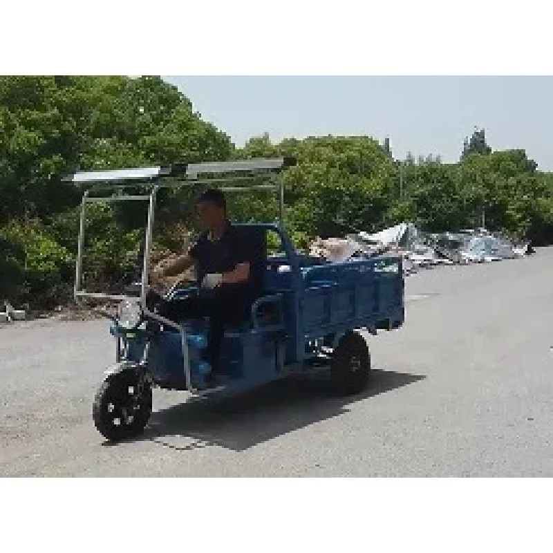 2023년 최고의 안전성과 인기를 자랑하는 60V 1000W 화물용 전기 삼륜차, 최대 적재량, 태양광 발전